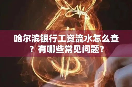 哈尔滨银行工资流水怎么查?有哪些常见问题? 哈尔滨银行工资流水怎么查?有哪些常见问题?